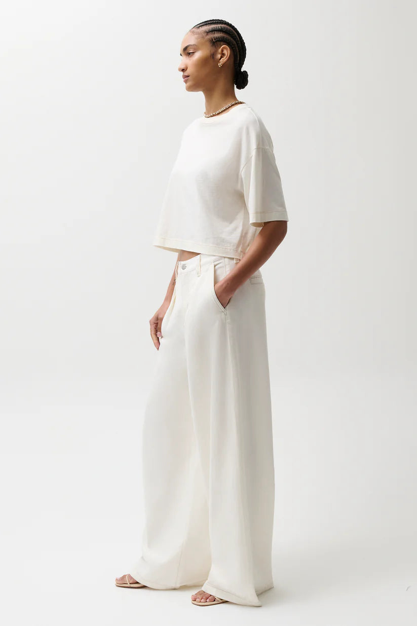 Delphine Pleated Denim Wide Leg