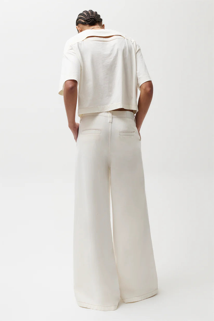 Delphine Pleated Denim Wide Leg