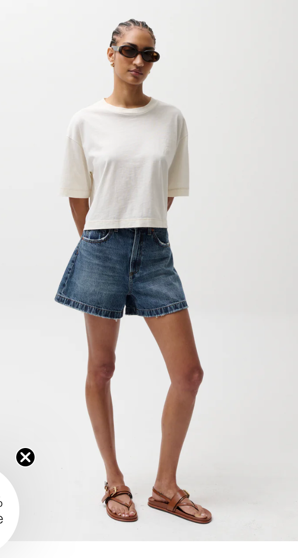 Saige Denim Shorts